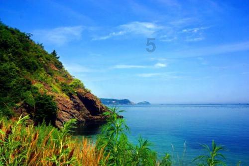 全民烧脑3去广告版